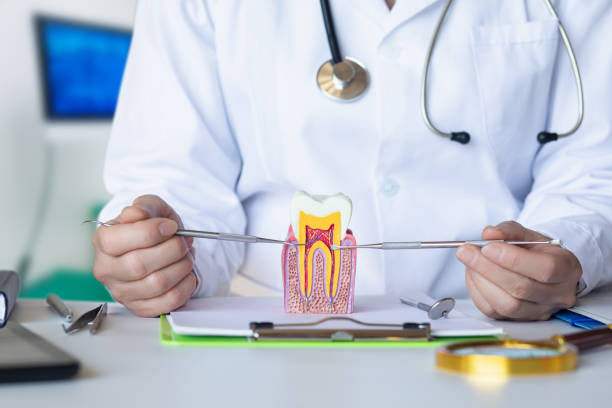 Best Dentist Open Late Near Me  in Wildwood, TN